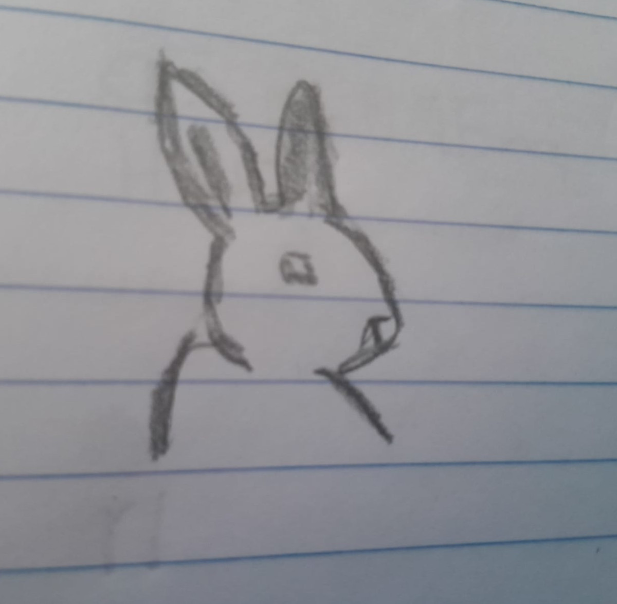 whiterabbit
